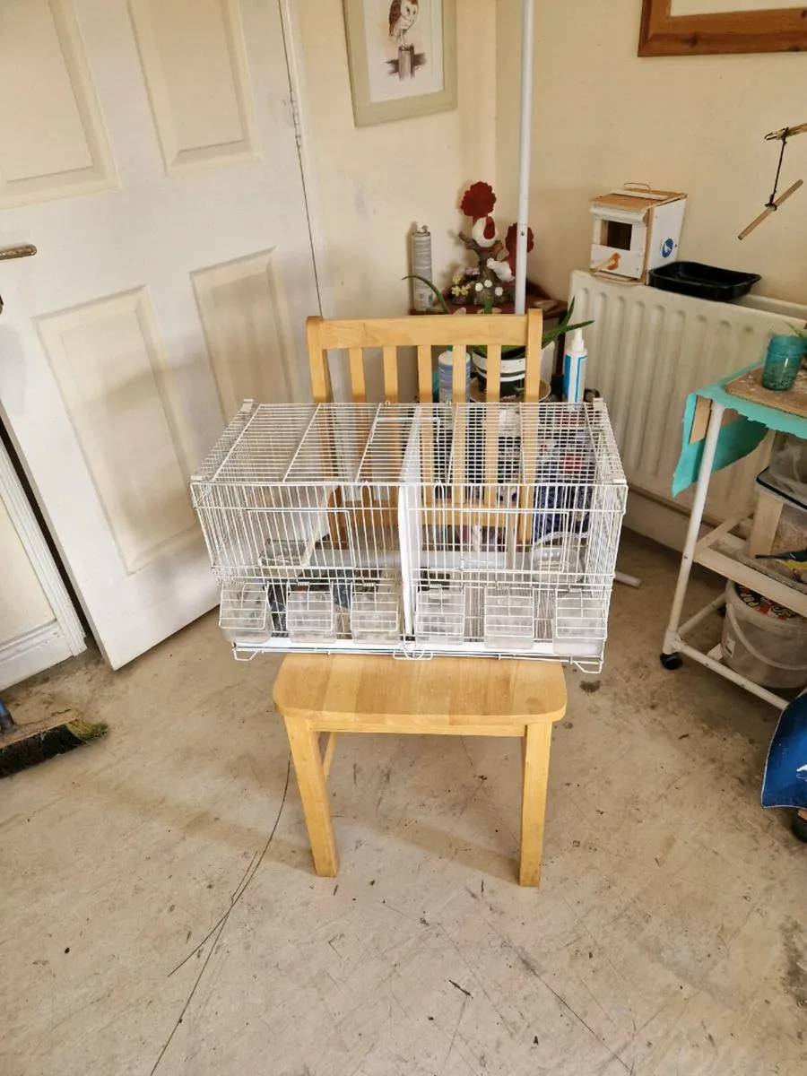 Bird cage - Image 1