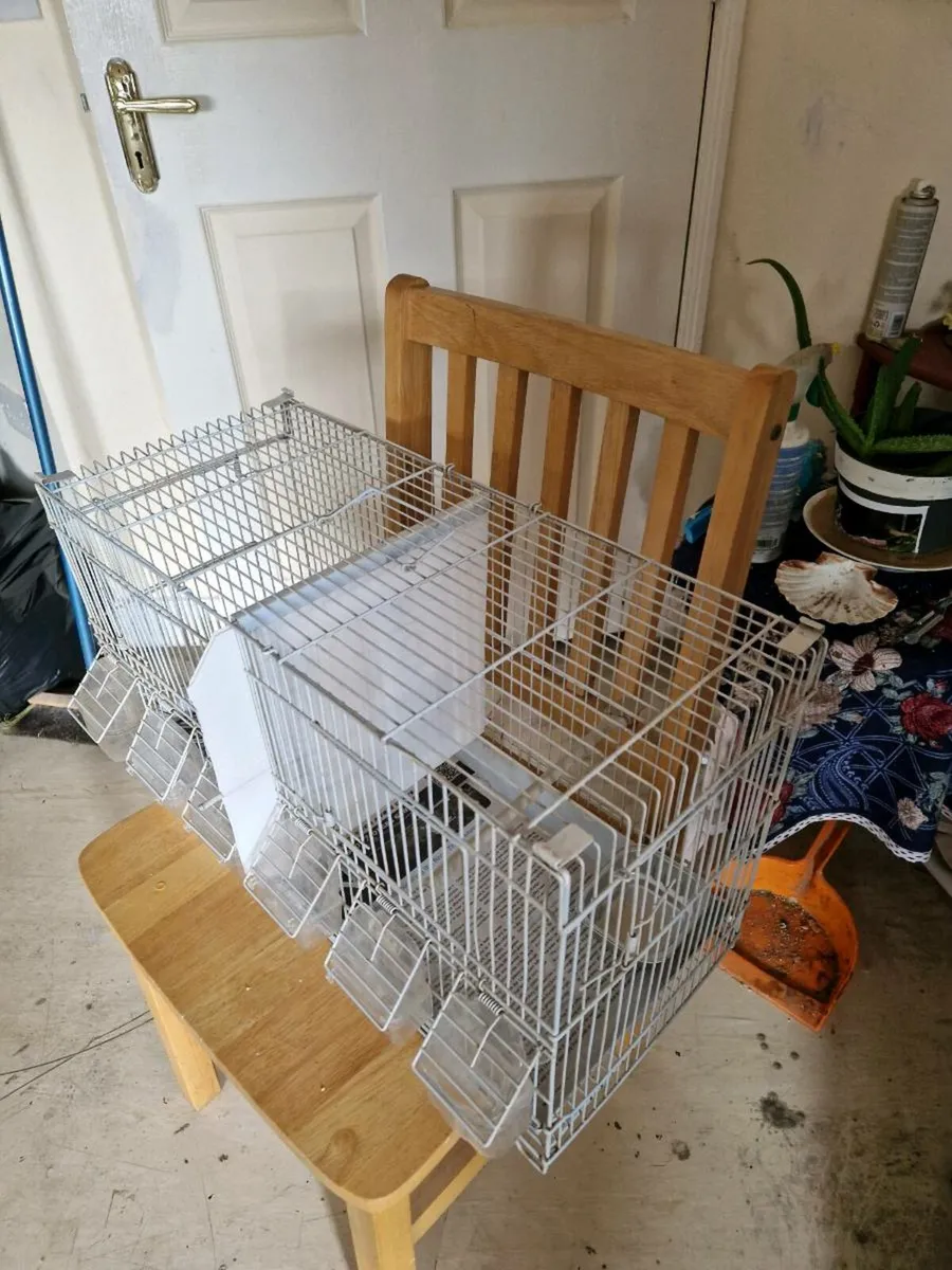 Bird cage - Image 2