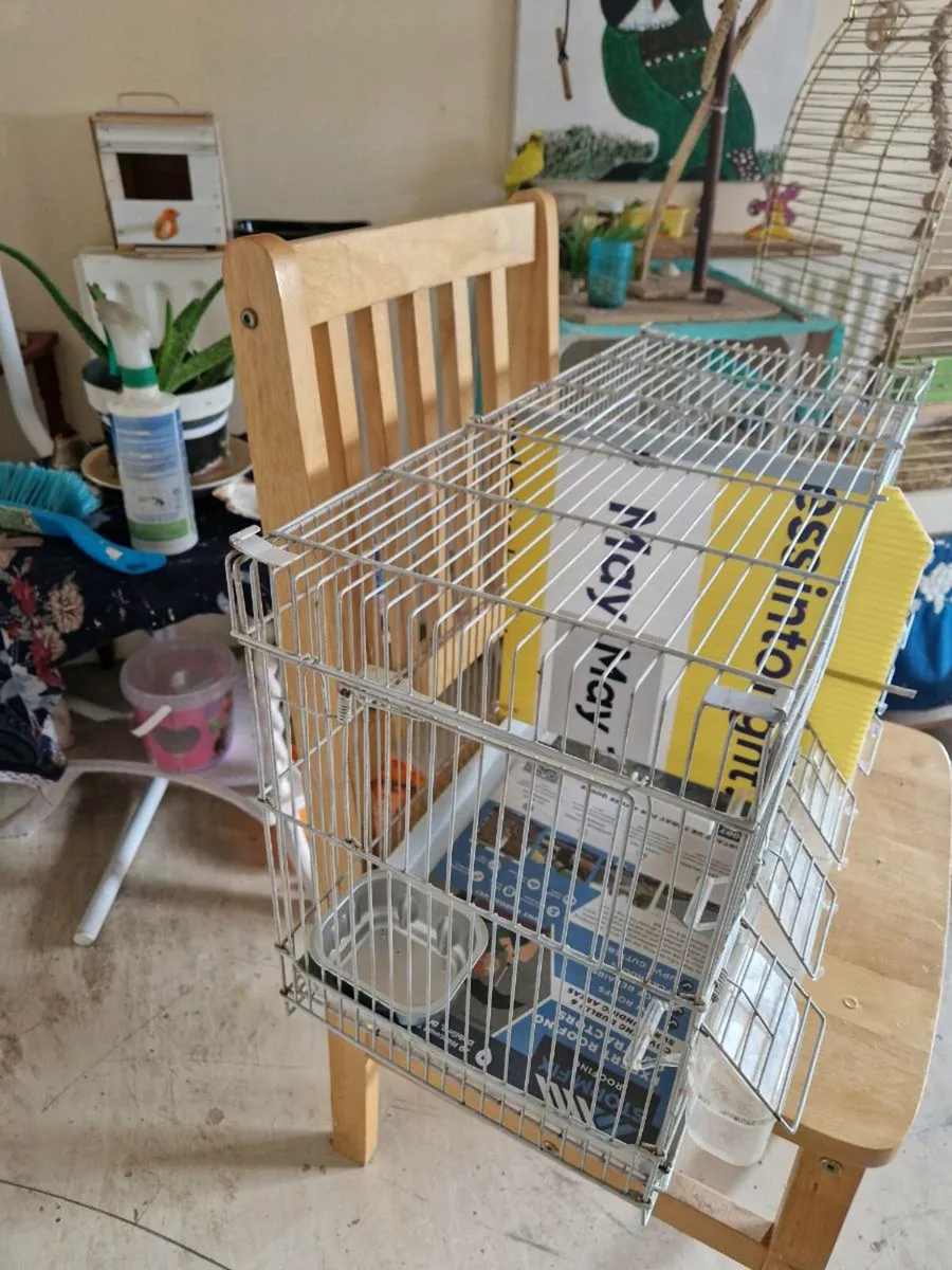 Bird cage - Image 3