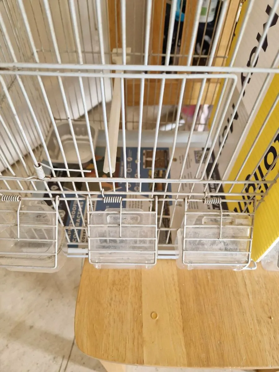 Bird cage - Image 4