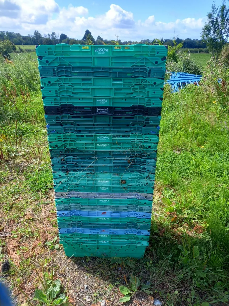 vegetable crates - Image 1