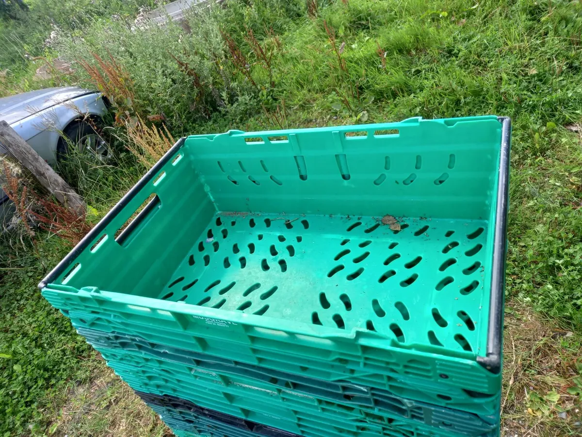 vegetable crates - Image 2