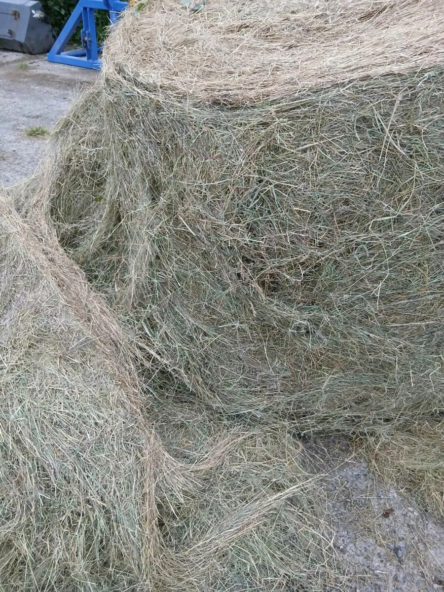 Hay for sale - Image 1