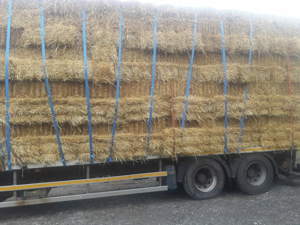 Small square bales of straw for sale - Image 1