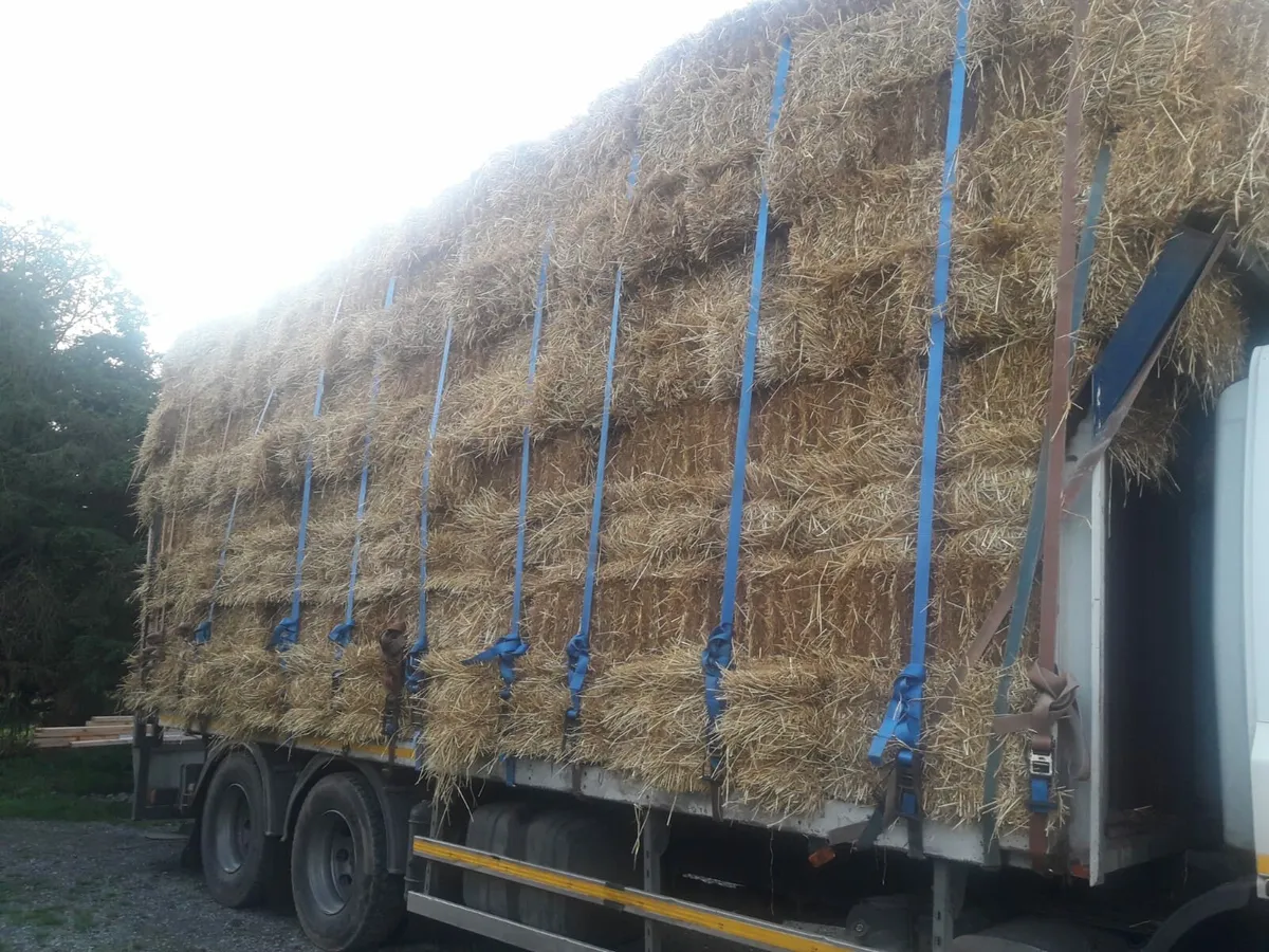 Small square bales of straw for sale - Image 3