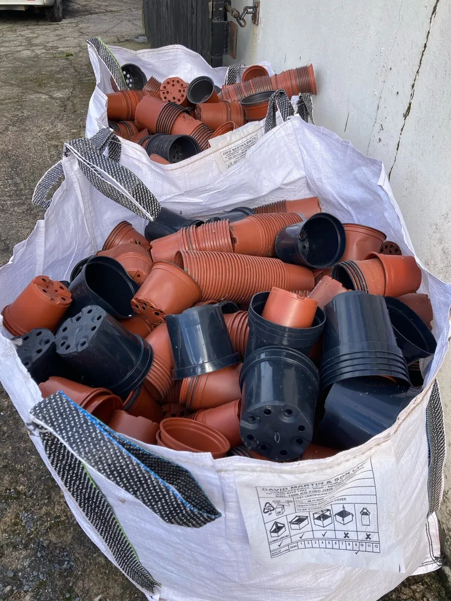 Pots - Image 2
