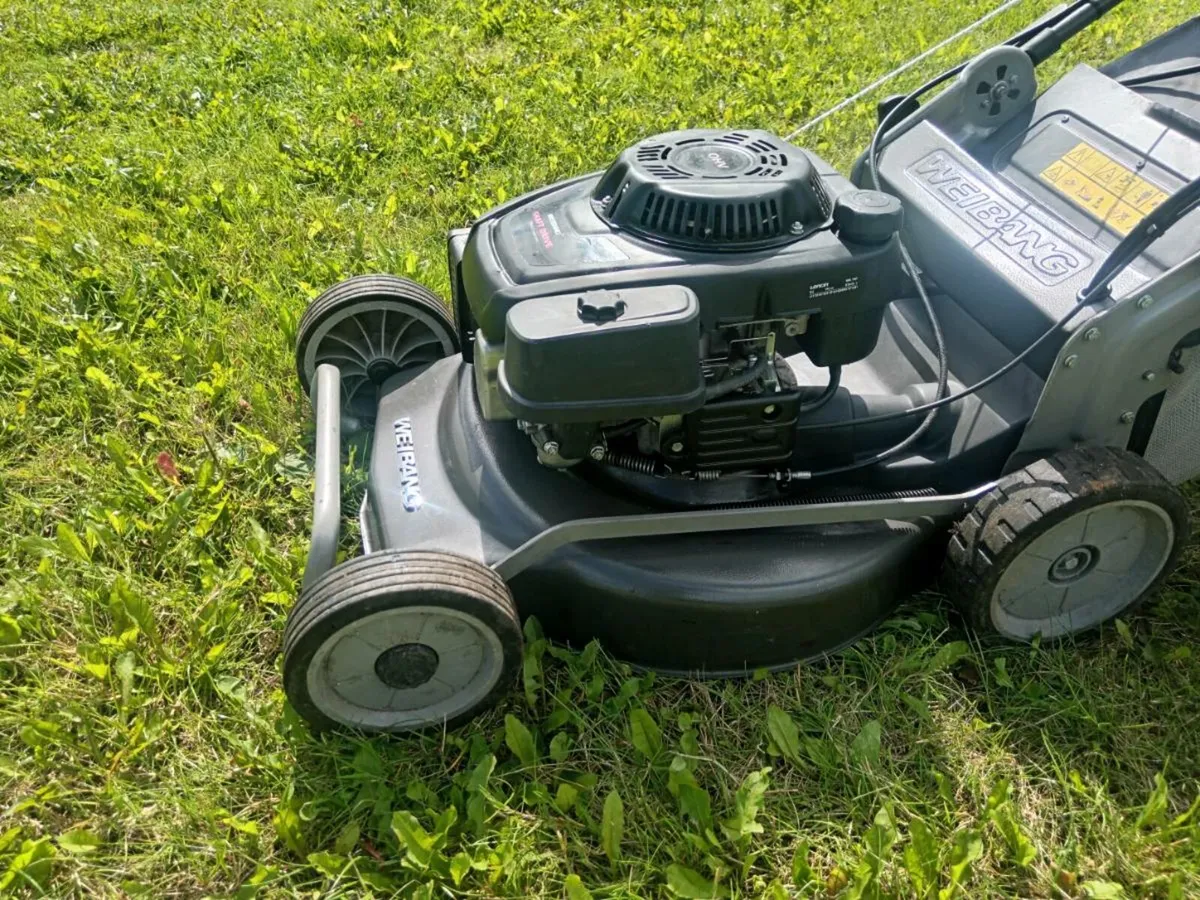 Lawnmowers - Image 4