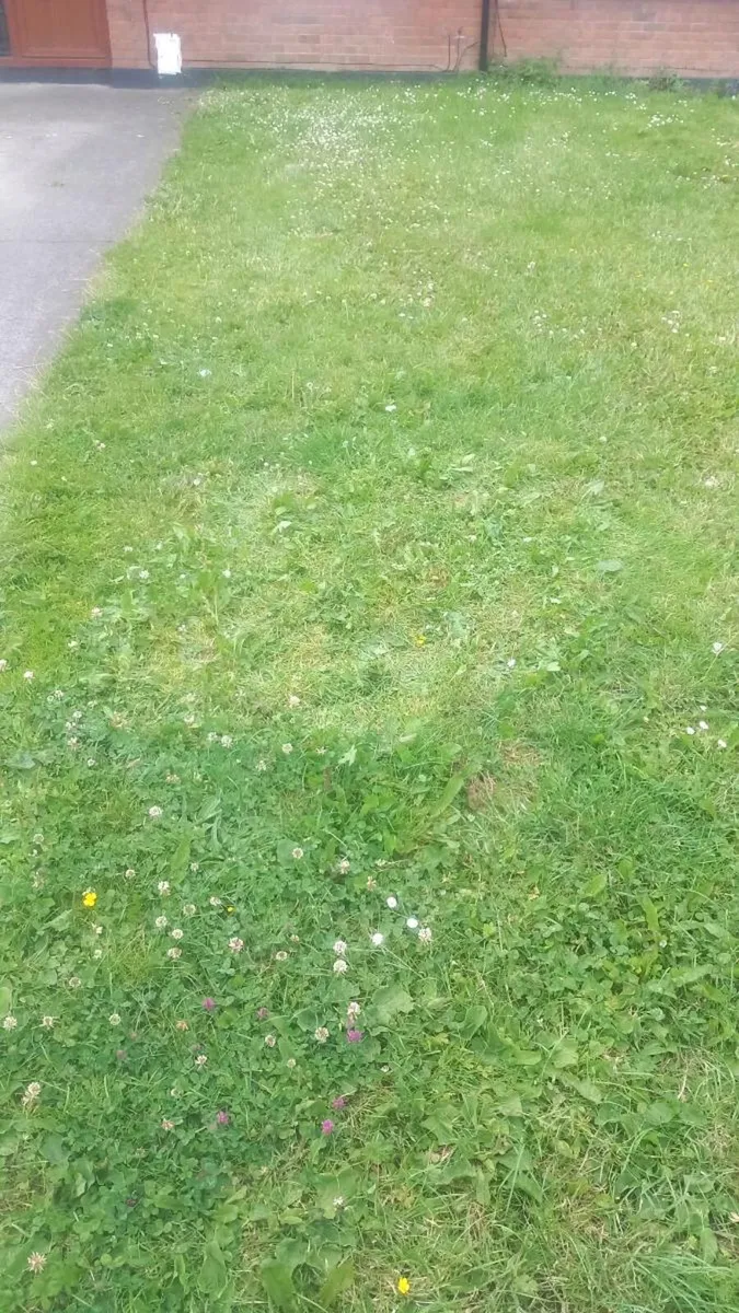 Rubbish removal - Image 3