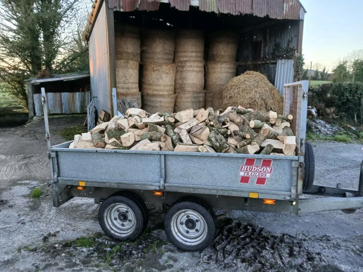 Ash Firewood - Image 1