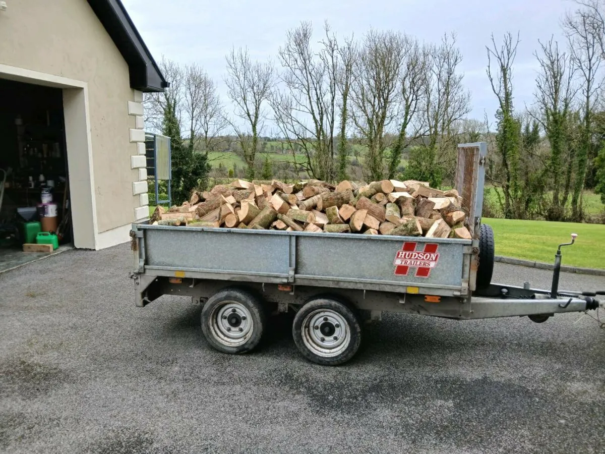 Ash Firewood - Image 2