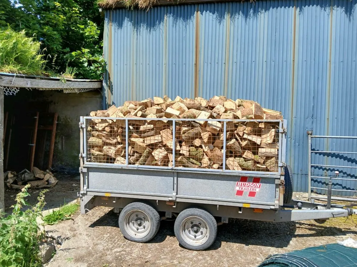 Ash Firewood - Image 3
