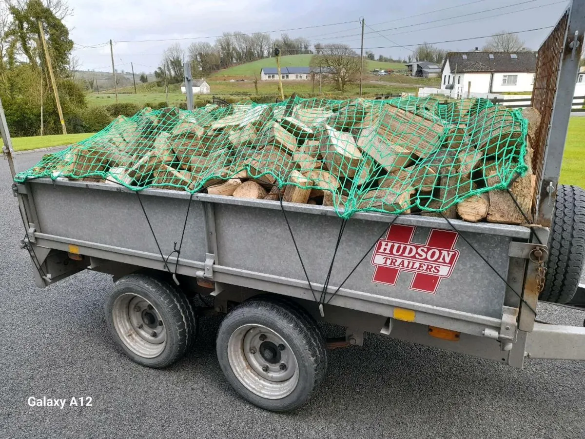 Ash Firewood - Image 4
