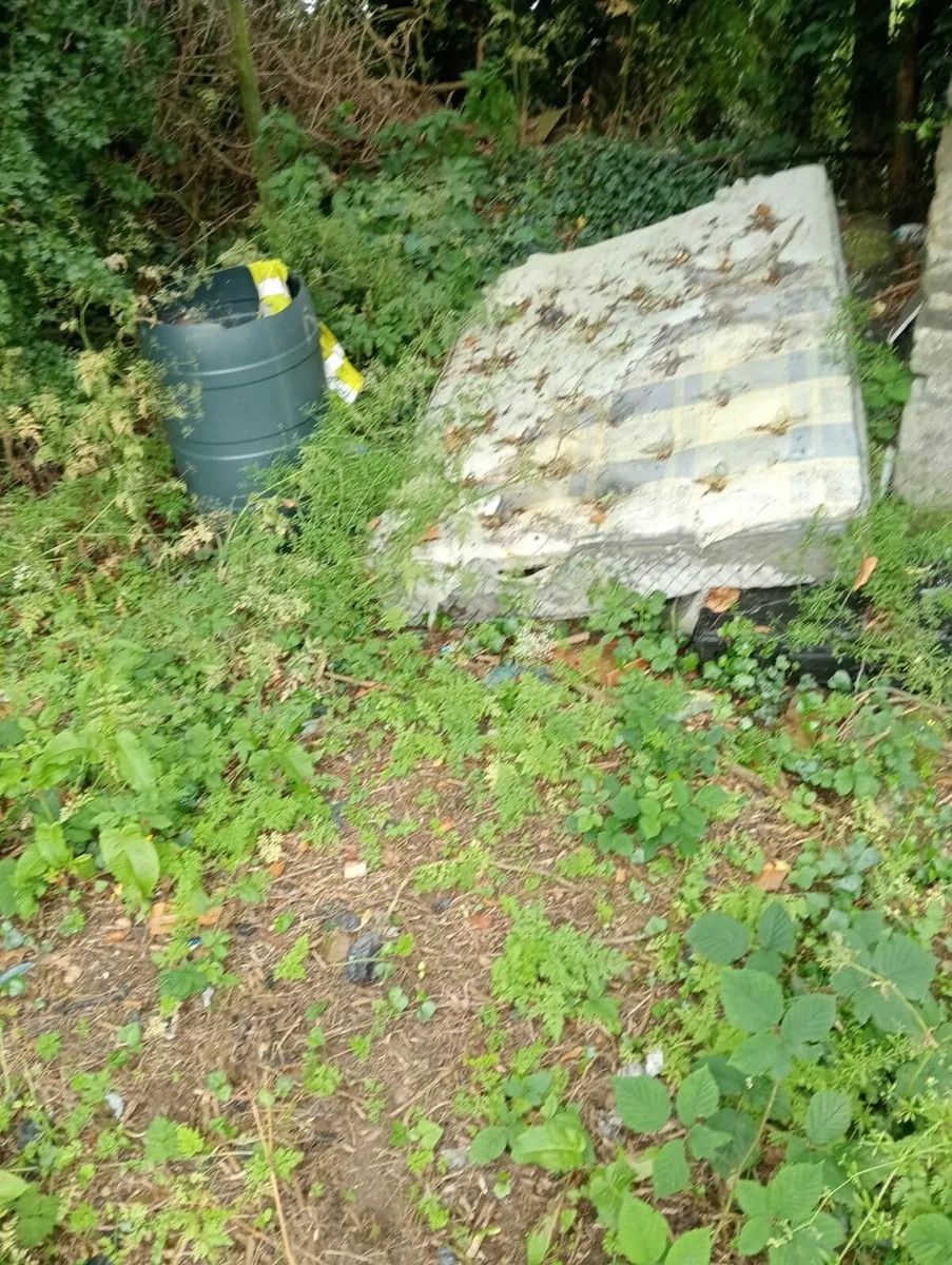 Rubbish removal - Image 2