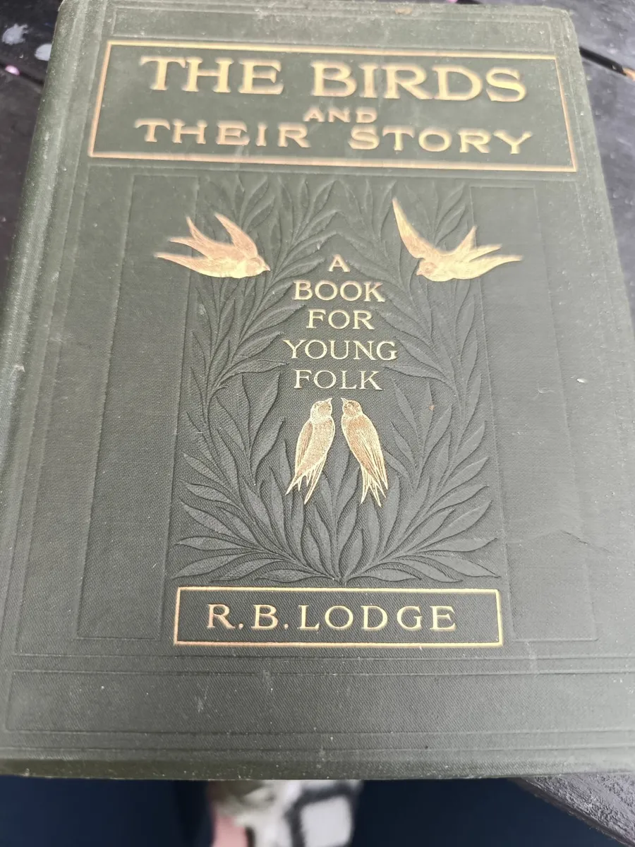 Antique books - Image 4