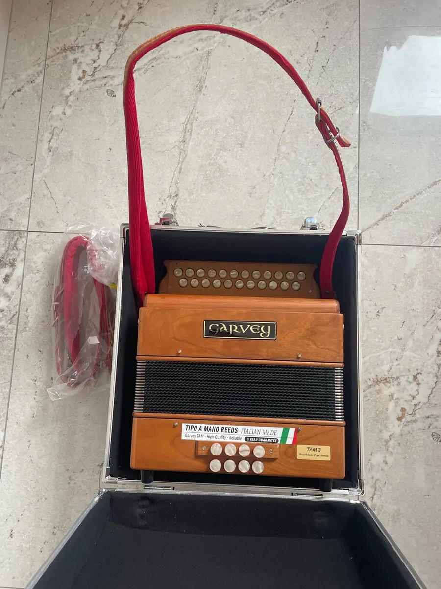 Button Accordion - Image 1