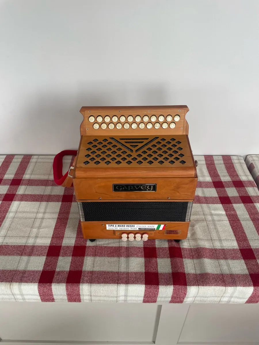 Button Accordion - Image 2