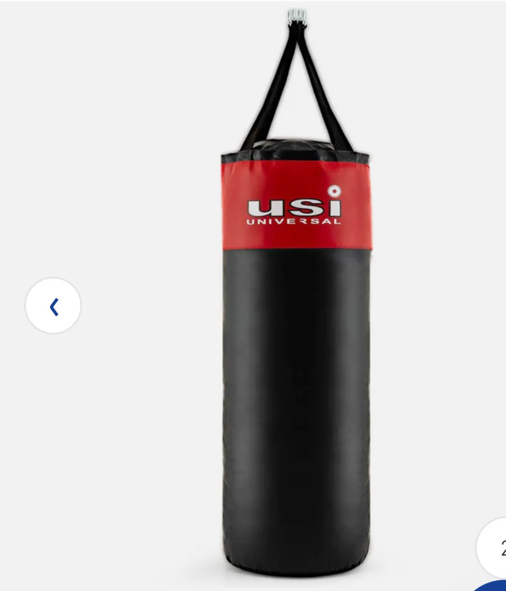 Punch bag