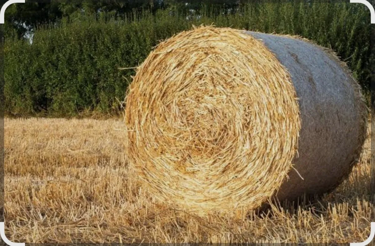 Straw