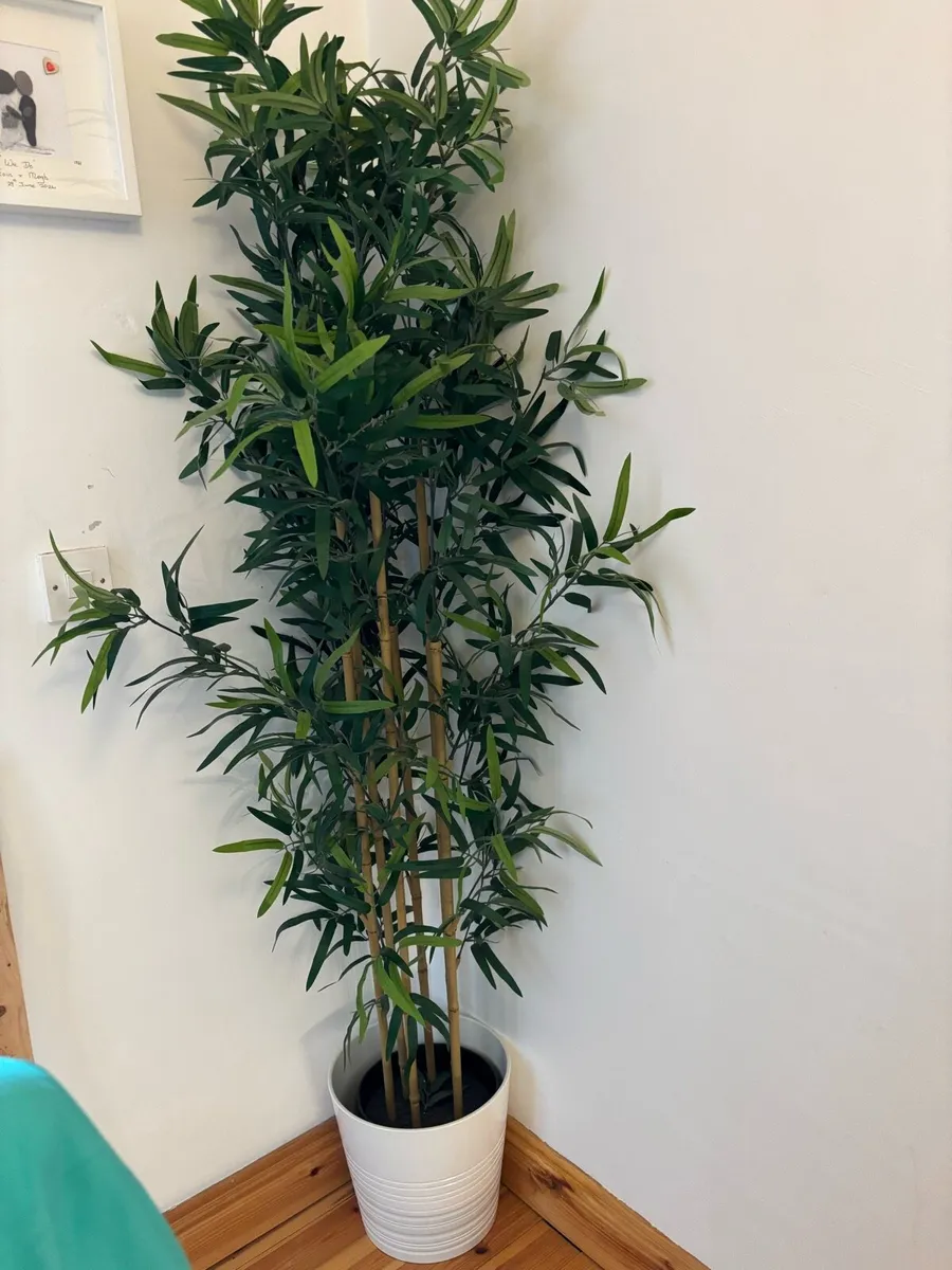2 artificial bamboo plants - Image 2