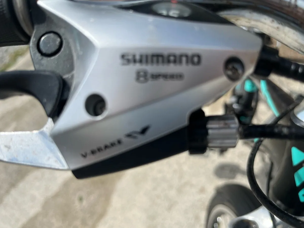 Vercelli Trieste women’s bicycle - Image 2