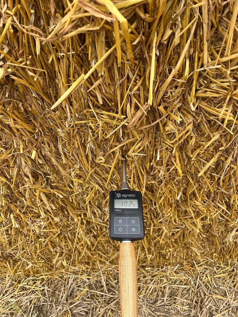 Wheat/Barley straw 8x4x4 - Image 3
