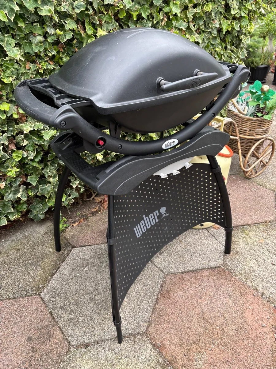 Weber BBQ