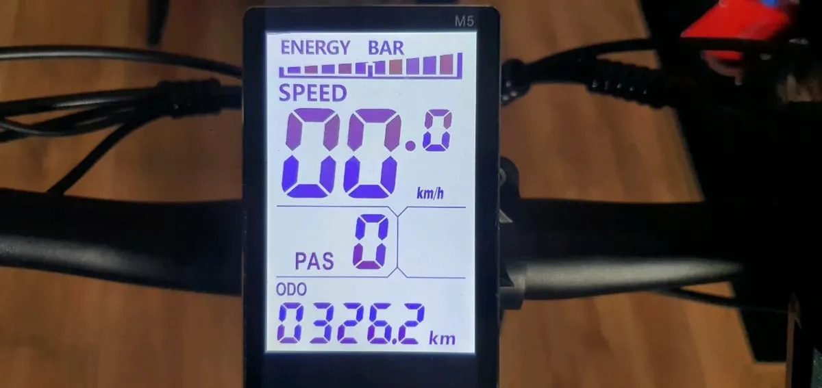 Philodo H8 Dual Motor Cargo Electric bike - Image 3