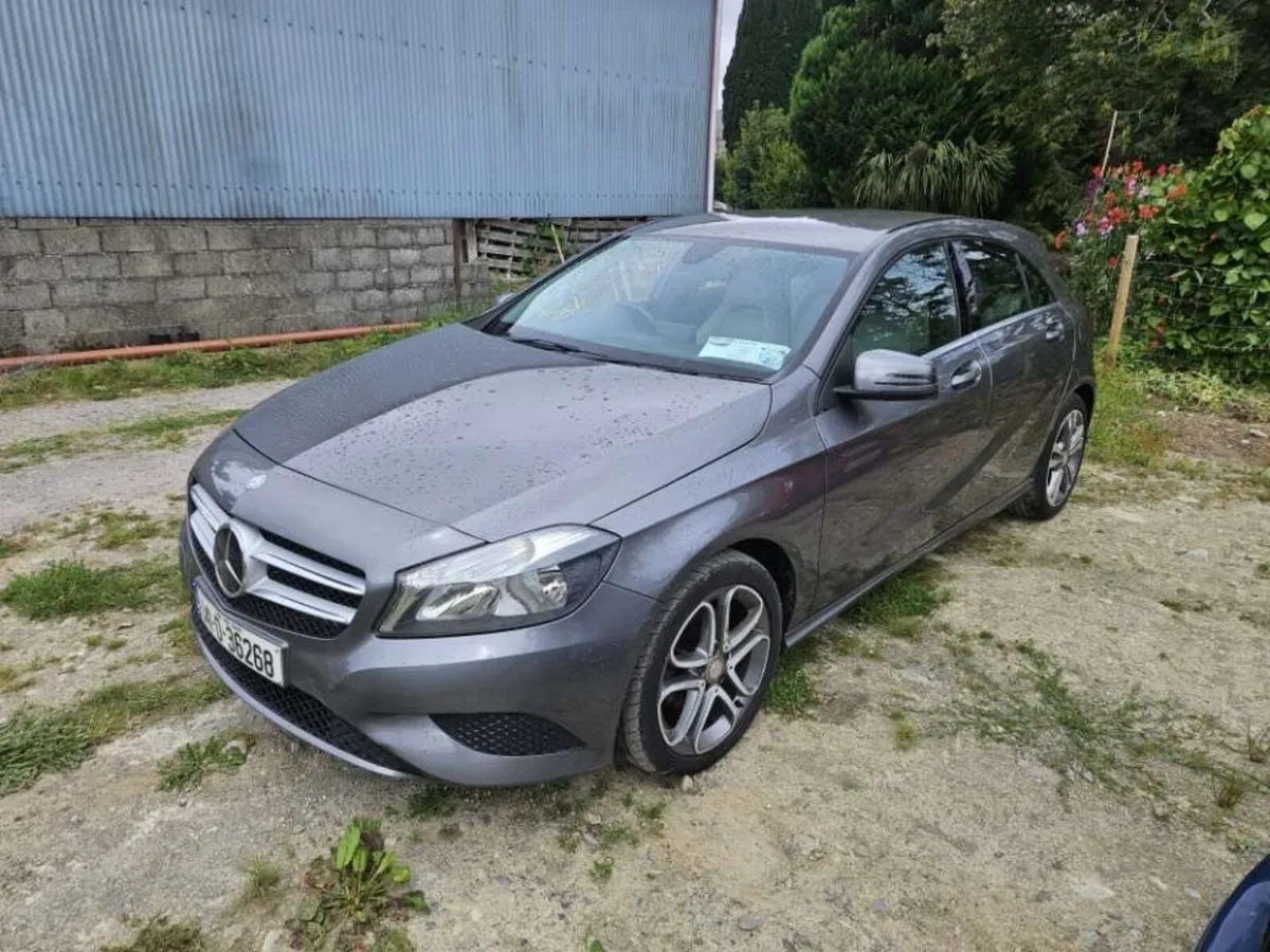 2014 Mercedes -Benz A - Class - Image 1