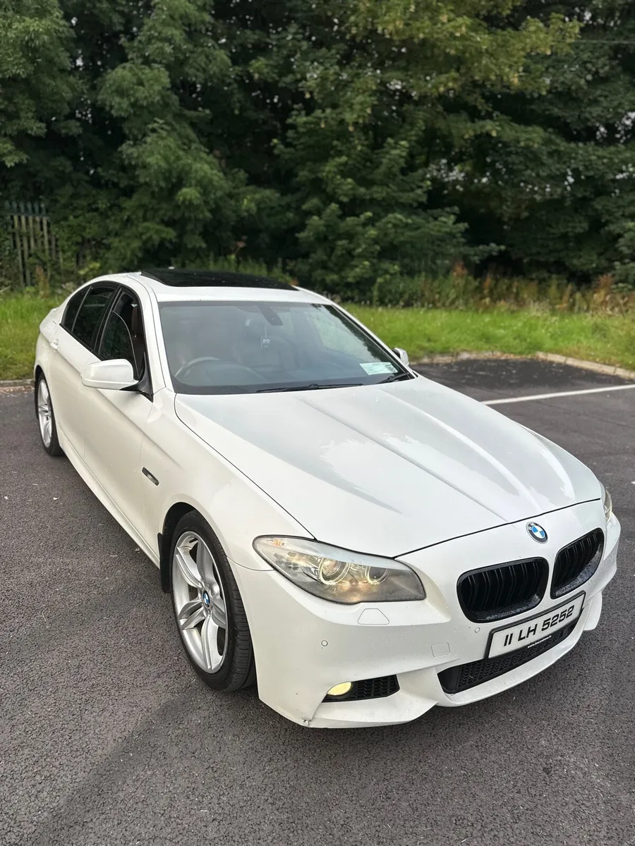 Bmw 520d Sunroof Msport - Image 1