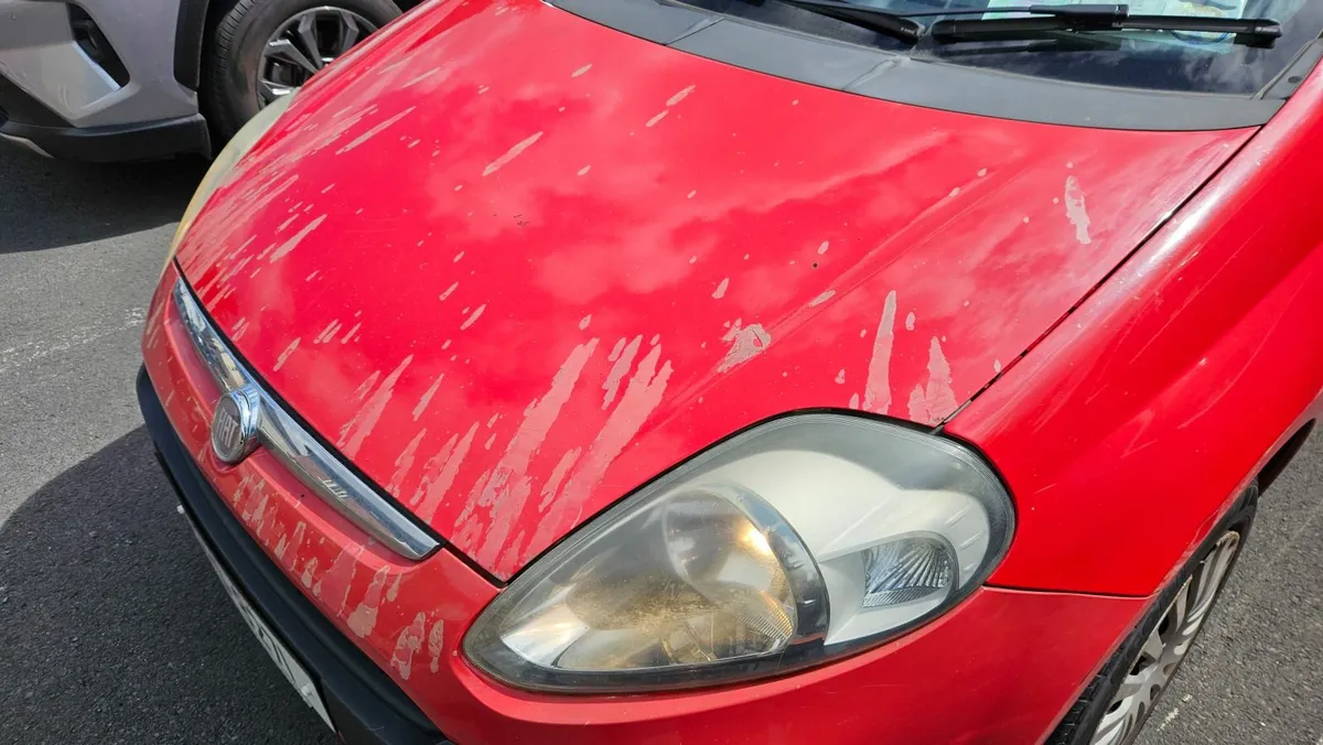 Fiat Punto 2012 - Image 2