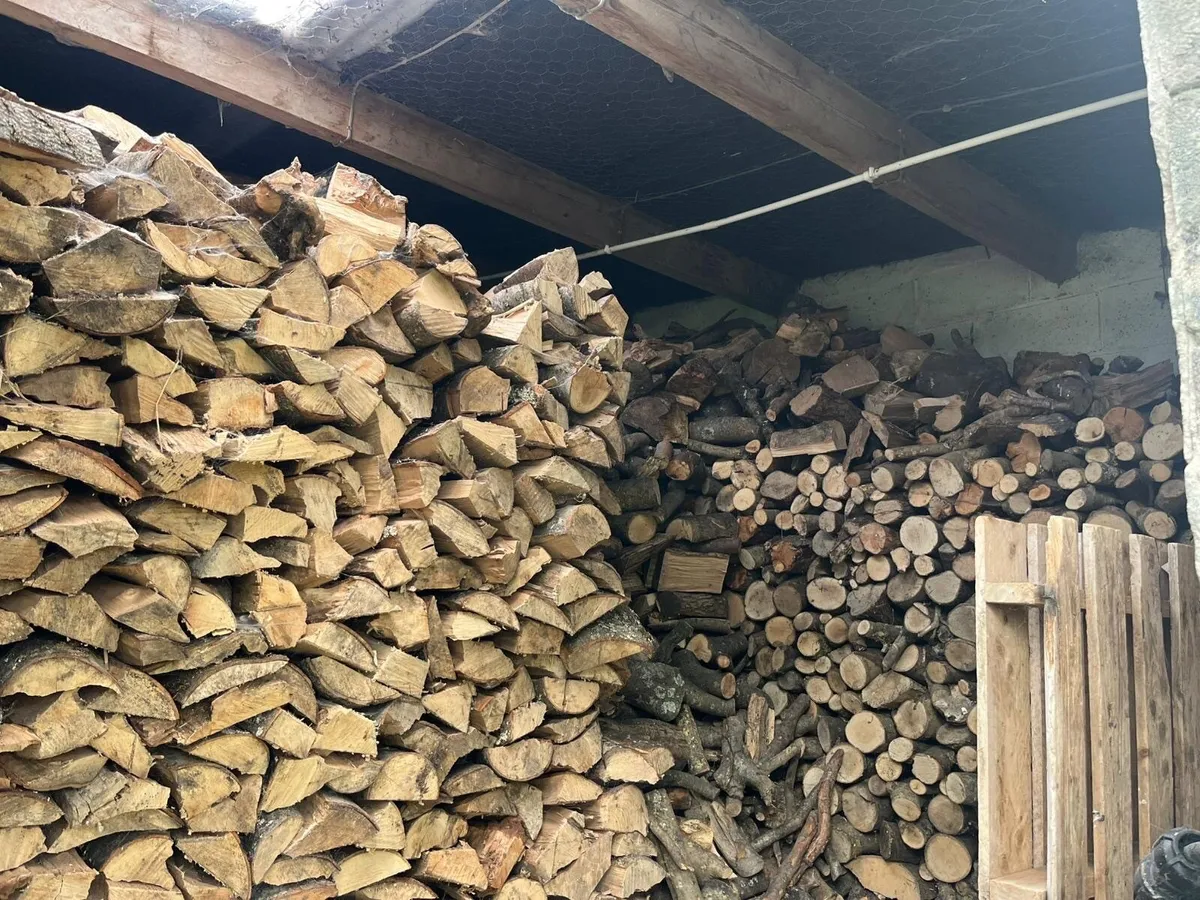 Firewood - Image 1