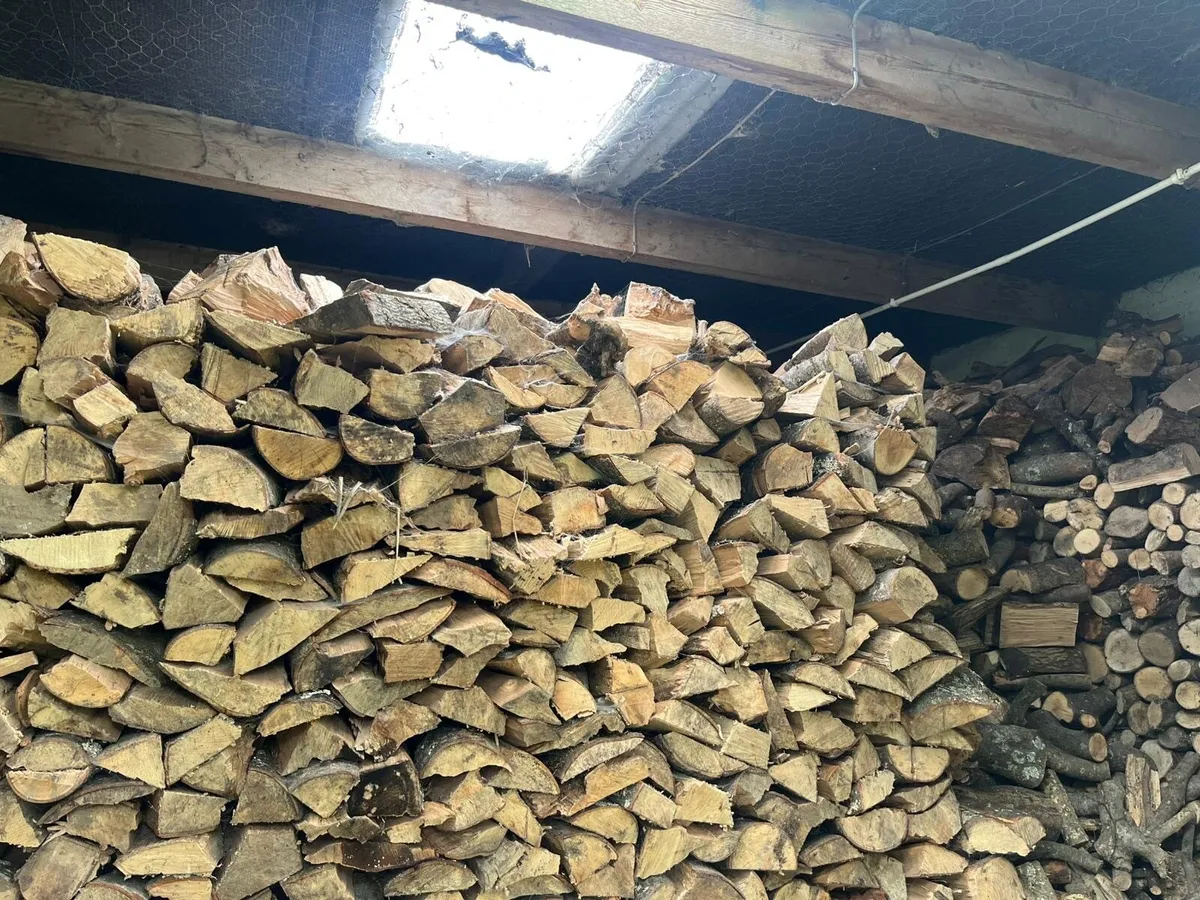 Firewood - Image 2