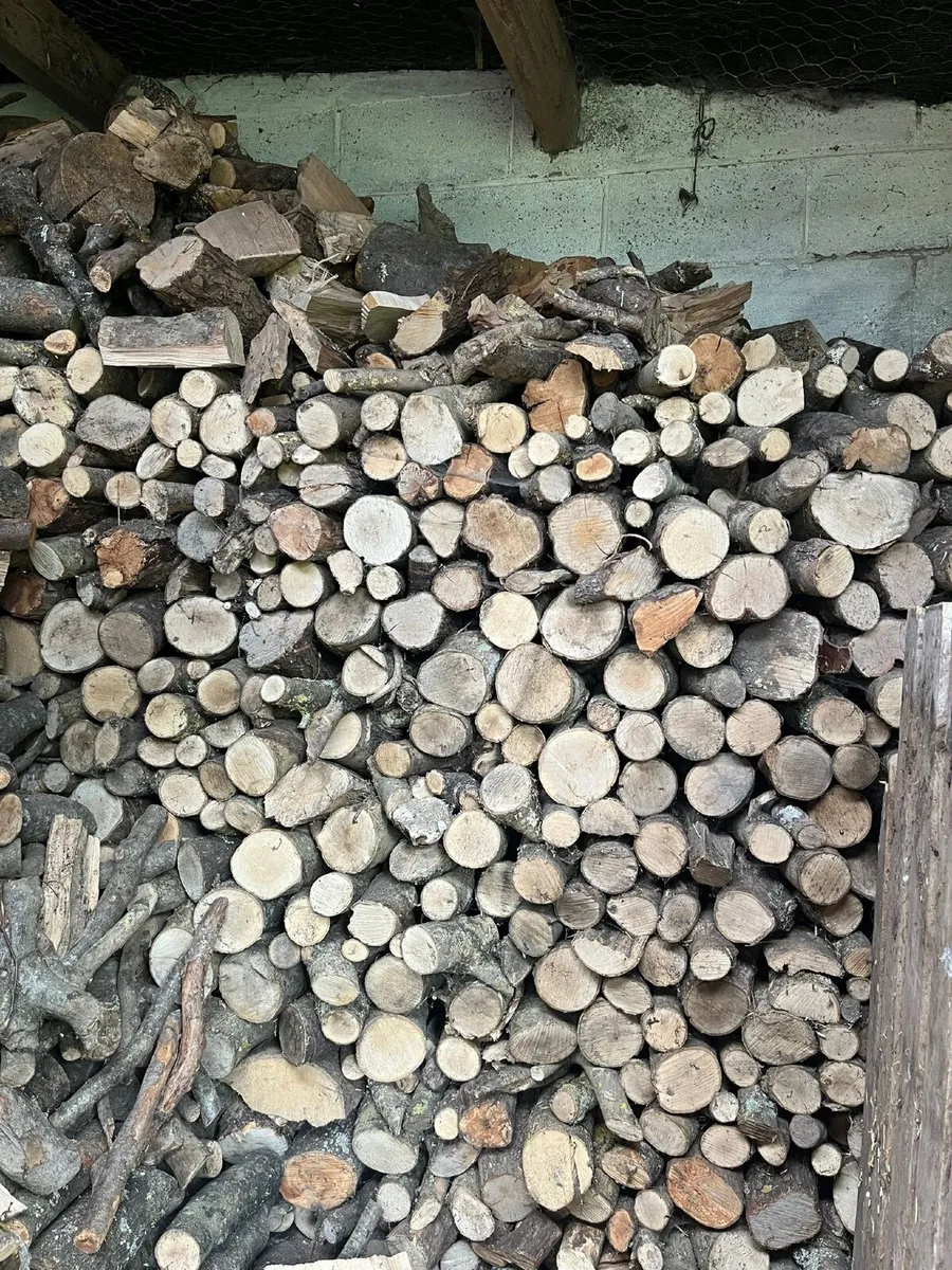 Firewood - Image 3