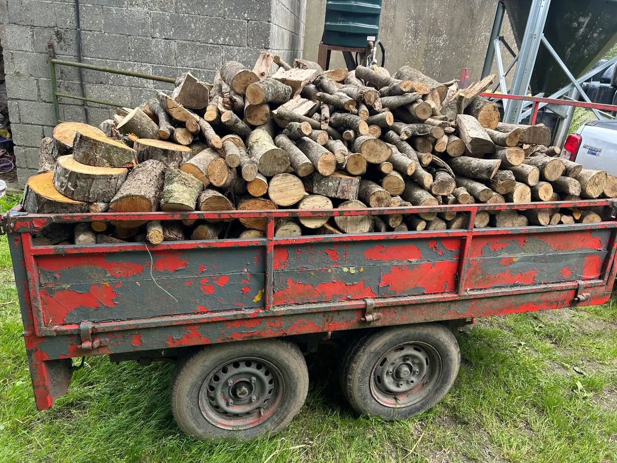 Firewood - Image 4
