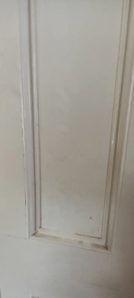 Door & Frame - Image 3