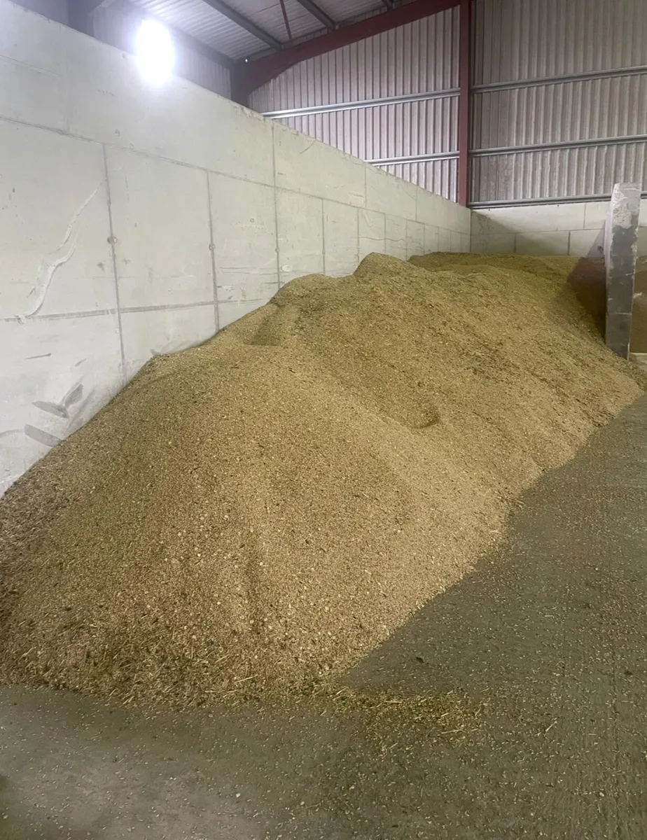 Organic oats