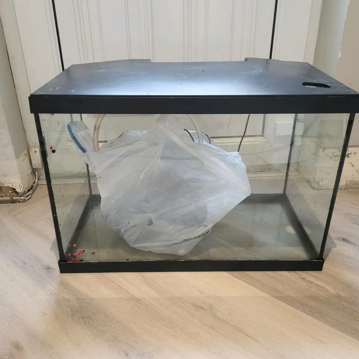 75Fish tank - Image 1