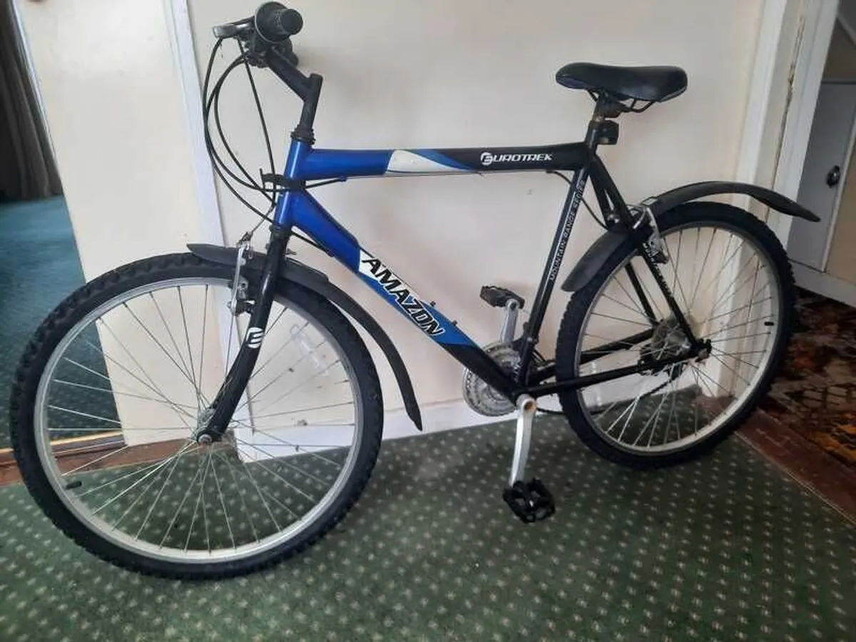 Mountain bike
