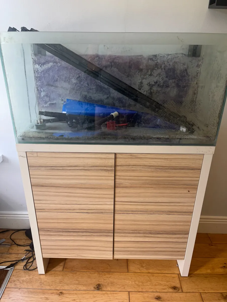 Aquarium - Image 1