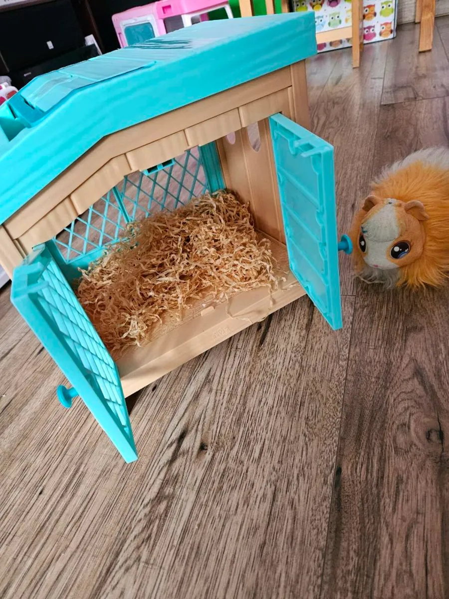 Guinea pig house - Image 1
