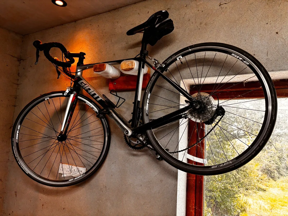 Giant Defy - Image 1