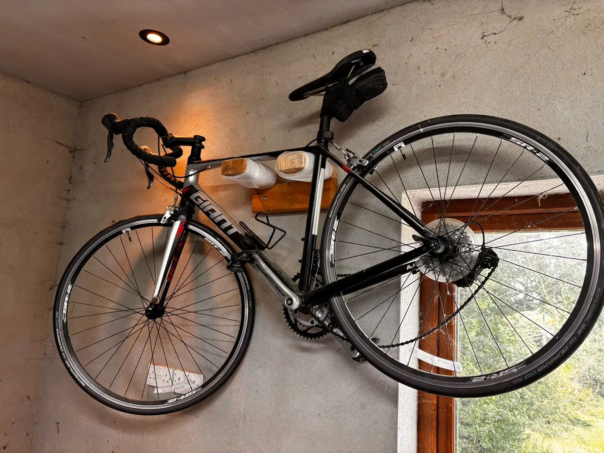 Giant Defy - Image 2