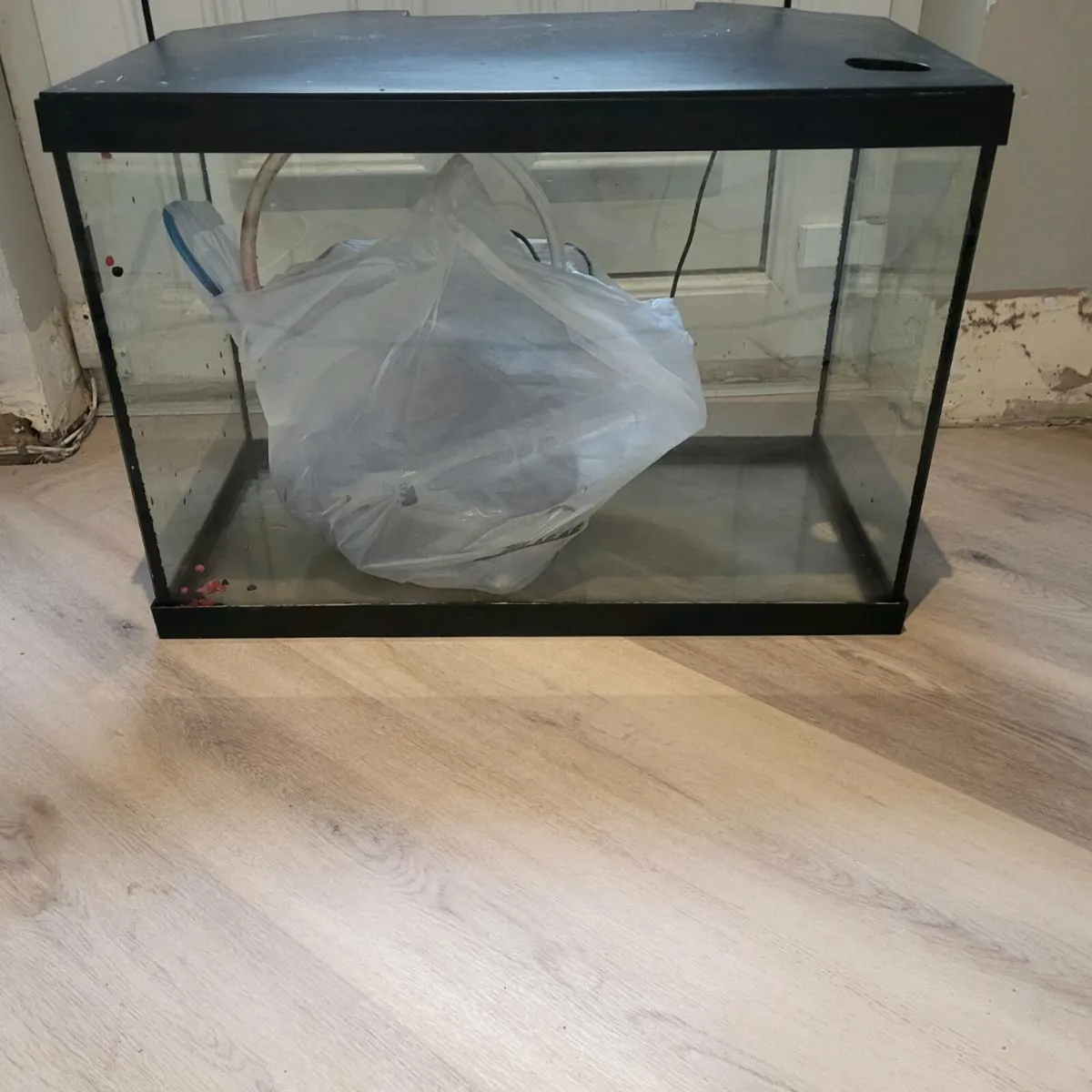 75Fish tank - Image 2