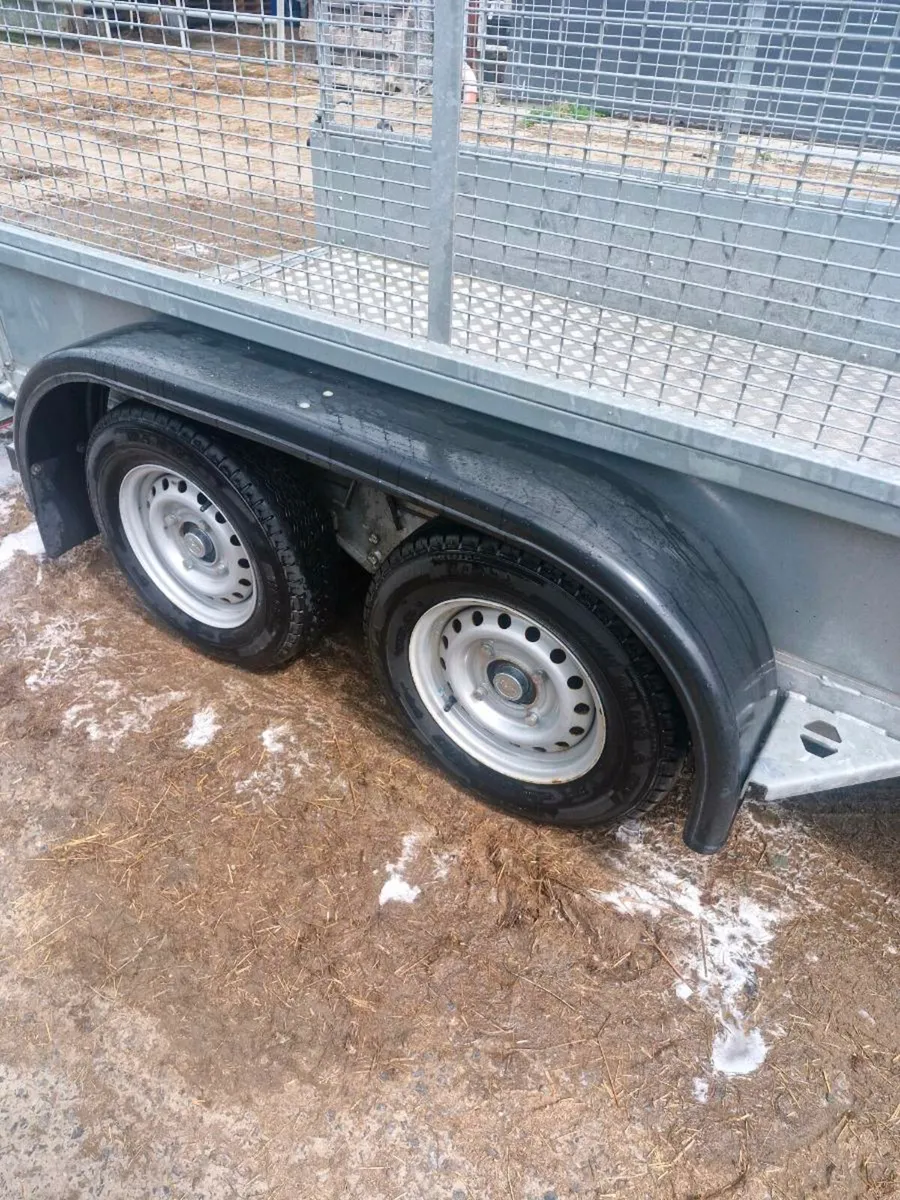 2023 nugent 8"2 x 4"2 trailer - Image 3