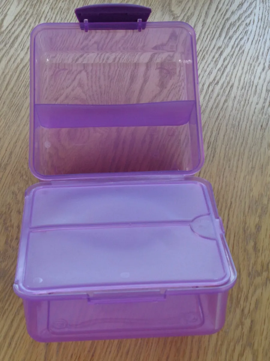 Lunch Box for Sale - Image 4