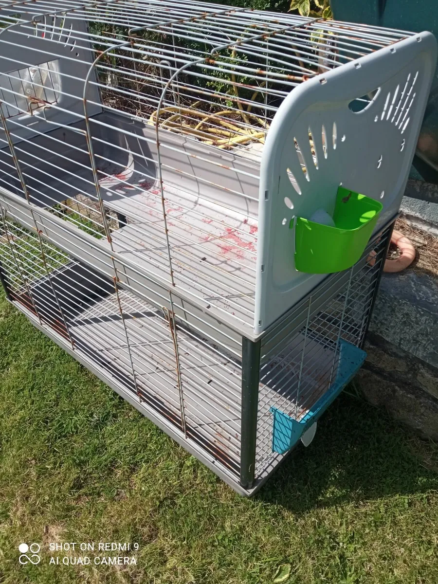 Rabbit 🐇🐇 inclosure / Hutch - Image 1