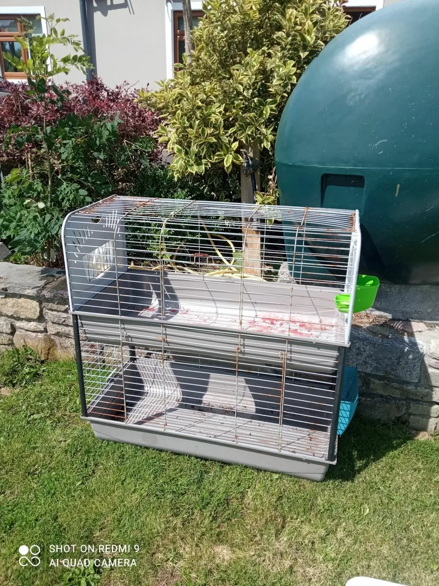 Rabbit 🐇🐇 inclosure / Hutch - Image 2