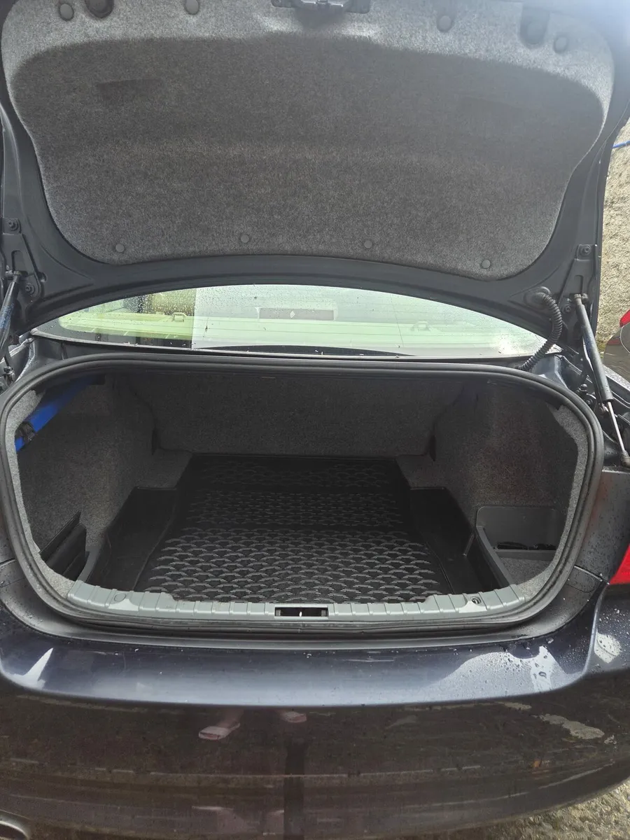 Bmw 318D 2008 - Image 2