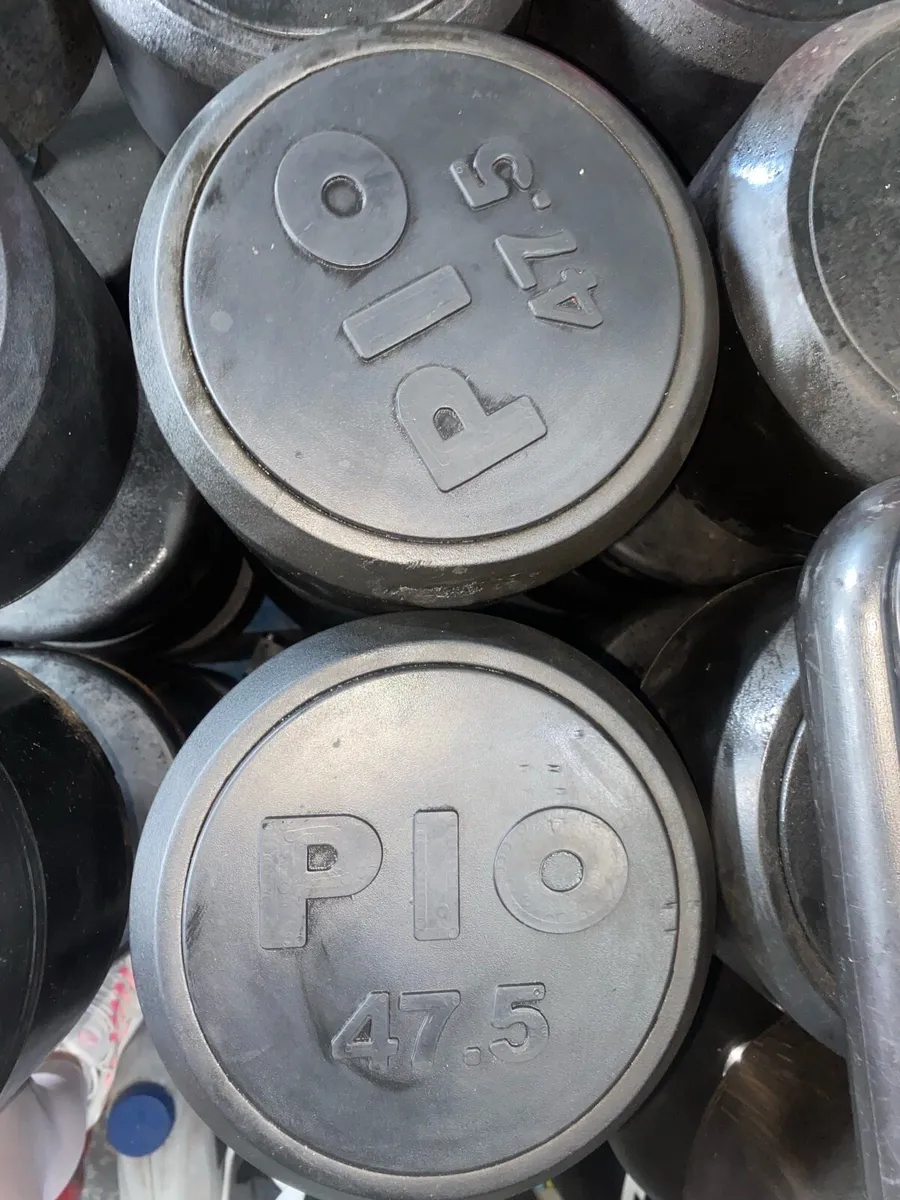 PIO DUMBBELLS 47.5KG - Image 1