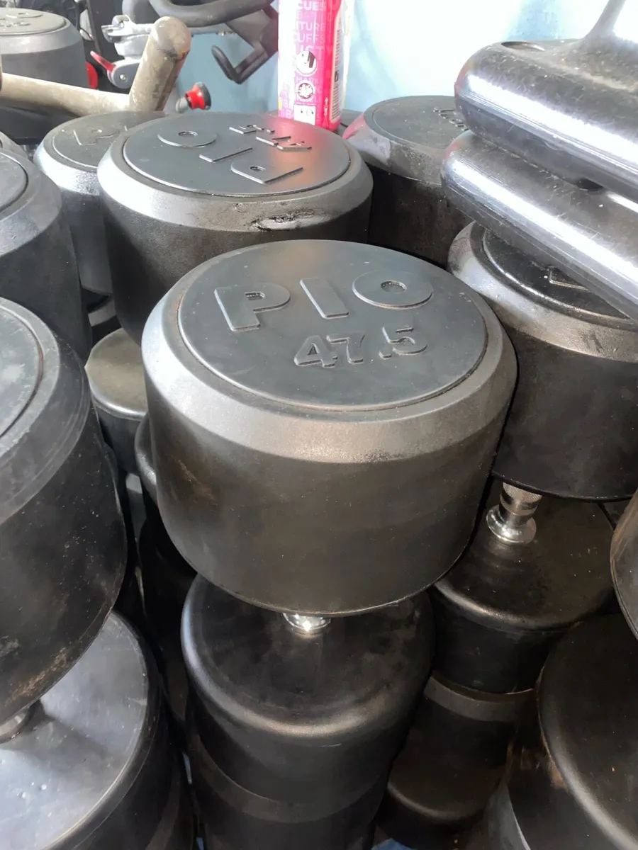 PIO DUMBBELLS 47.5KG - Image 2